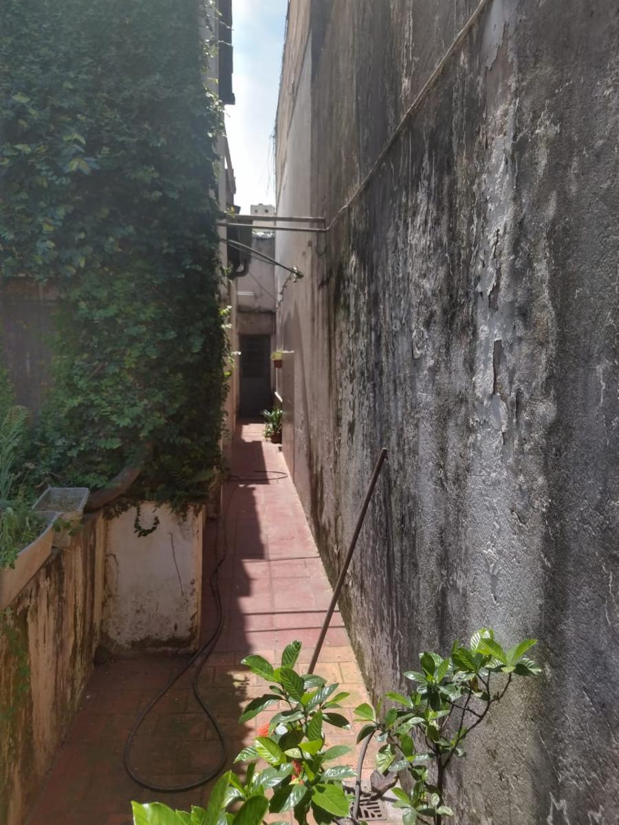 Checoslovaquia 4300 · Floresta — foto 18