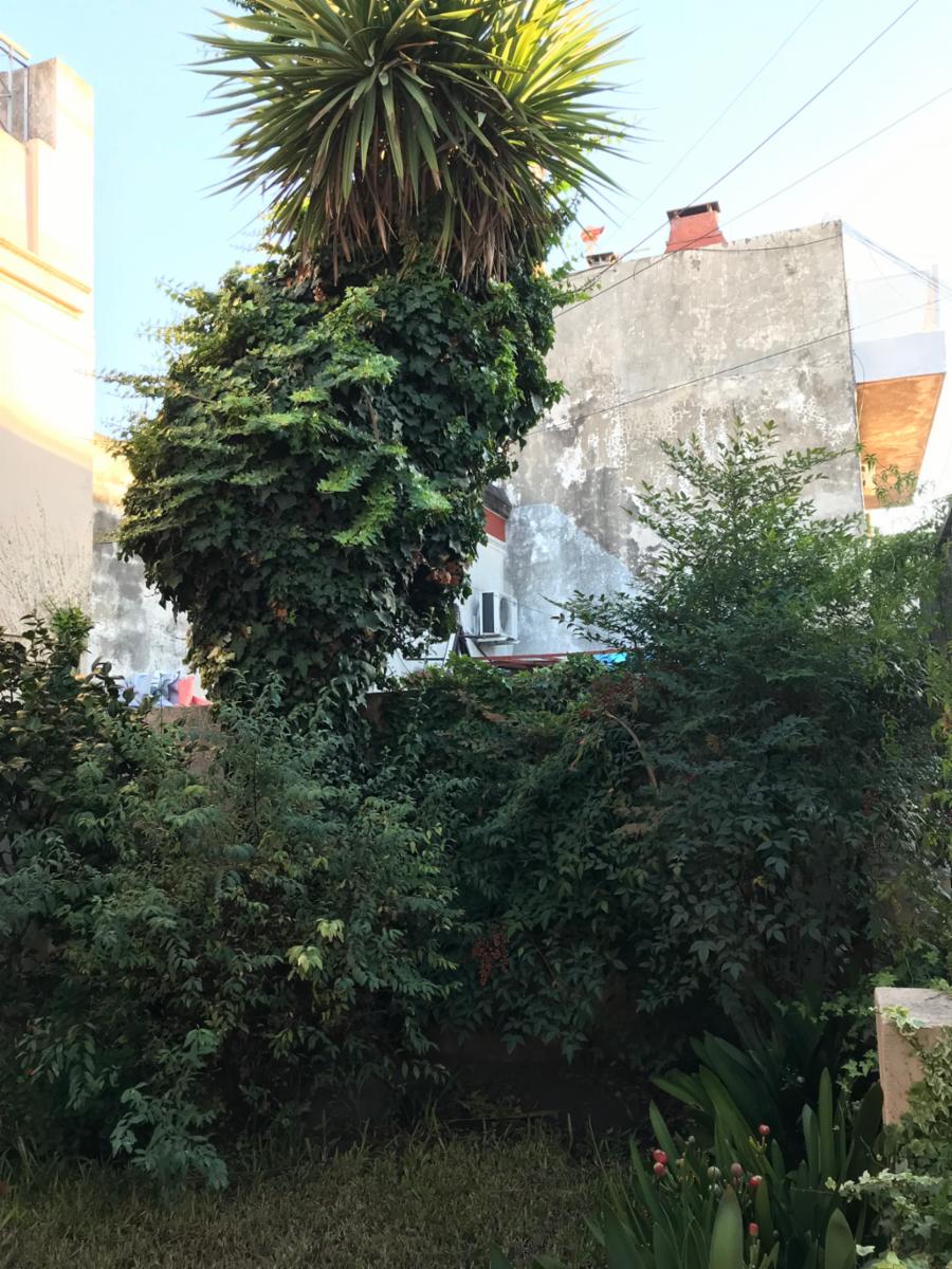 Checoslovaquia 4300 · Floresta — foto 8