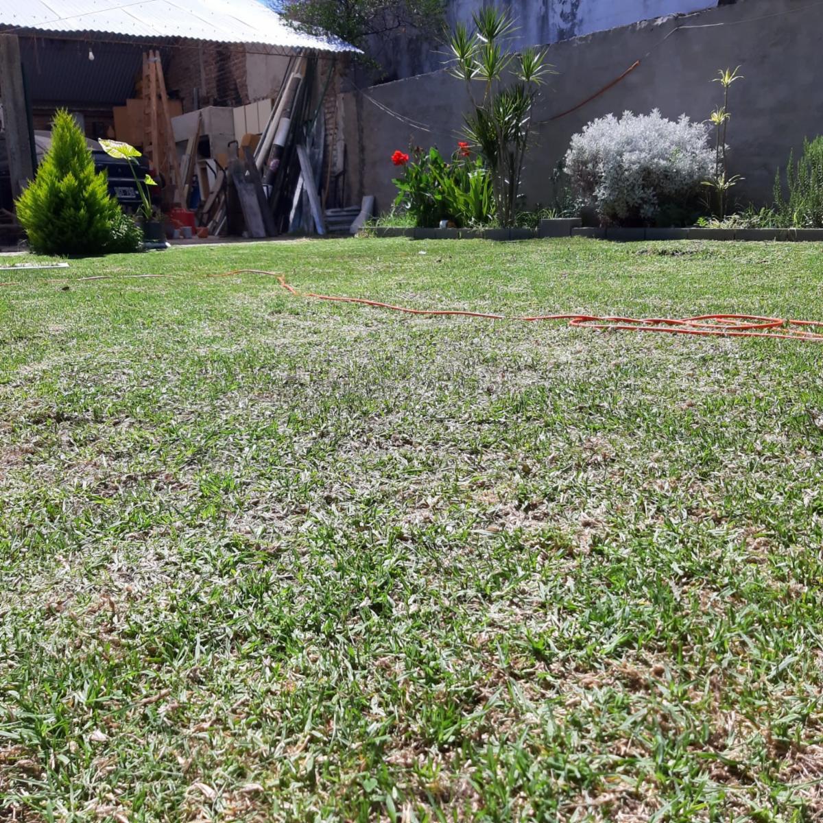 Juan Florio 100 · La Matanza — foto 6