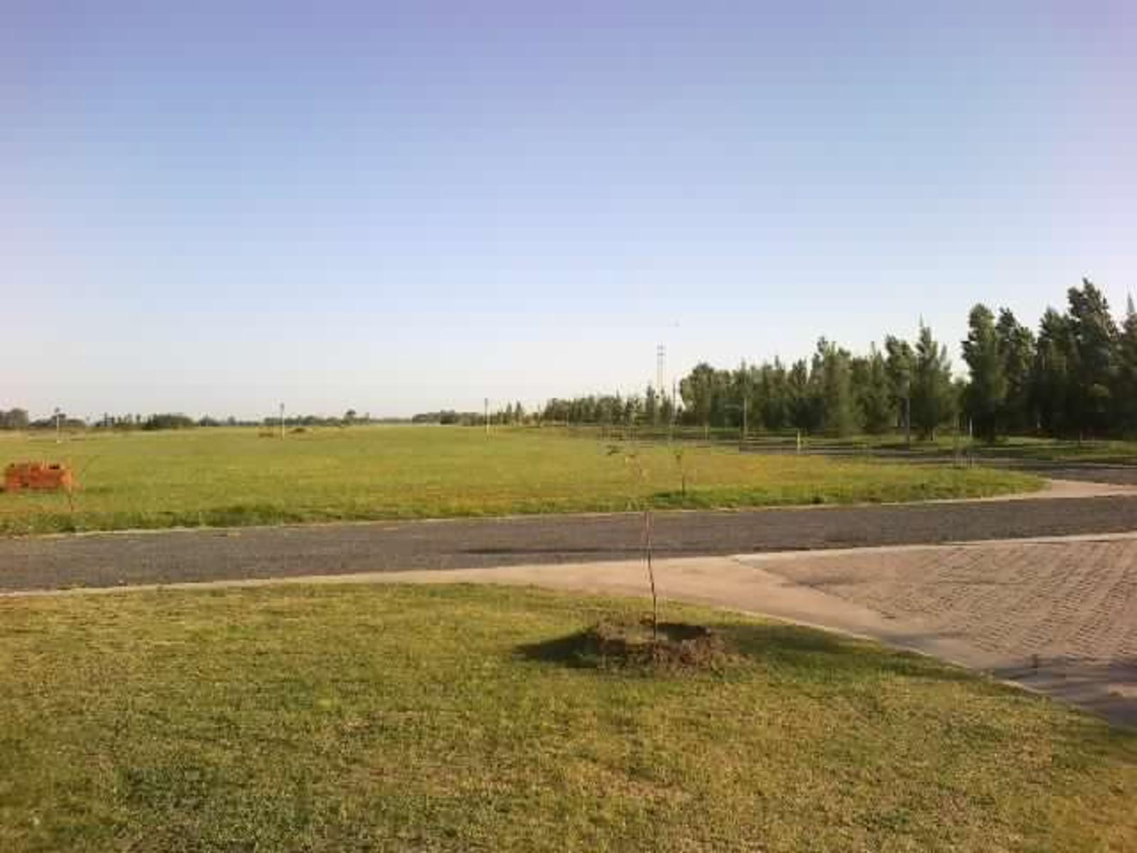 Martin Fierro · Esteban Echeverría — foto 4