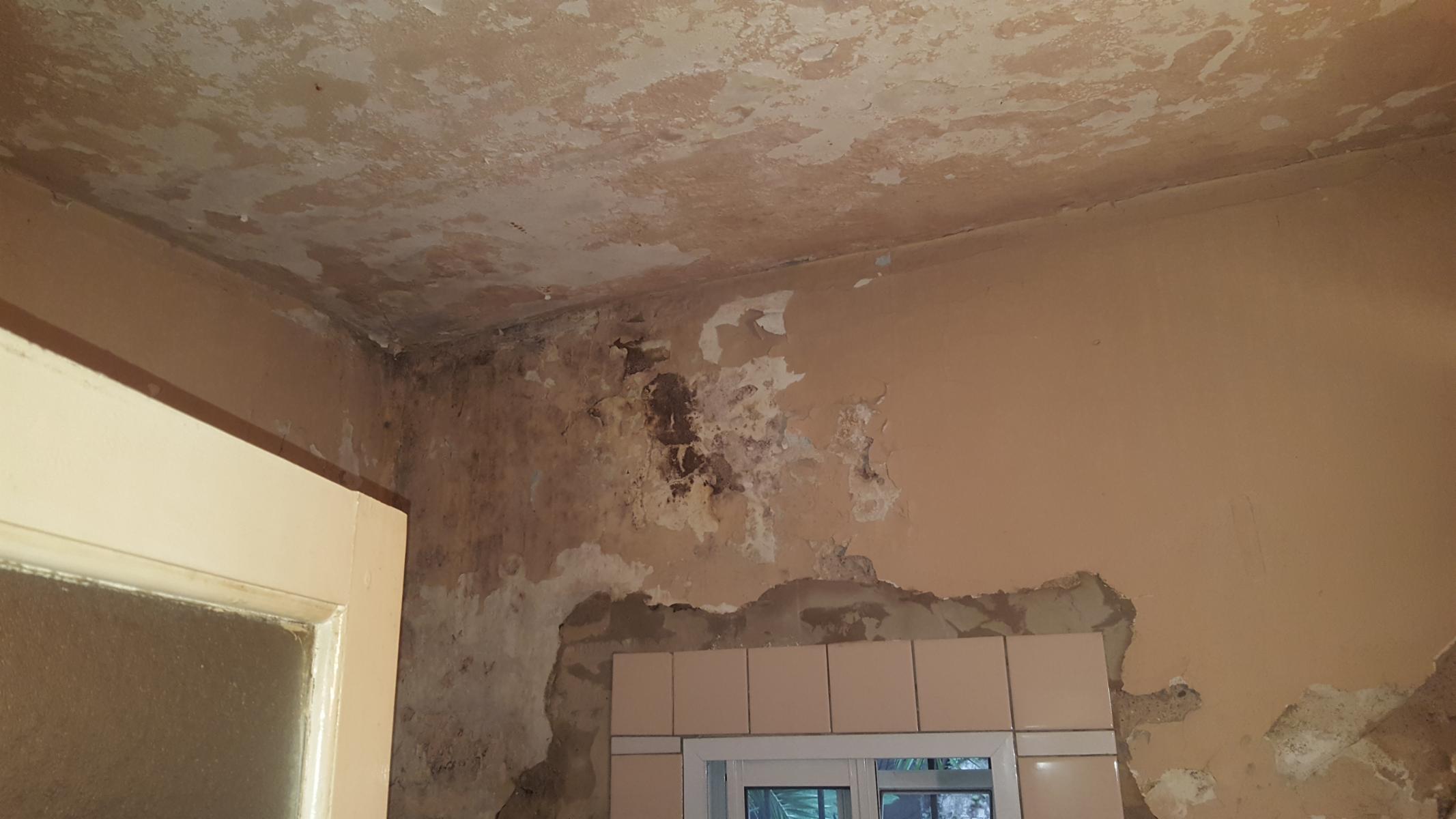 JOSE SANCHEZ 2305 · Almirante Brown — foto 11