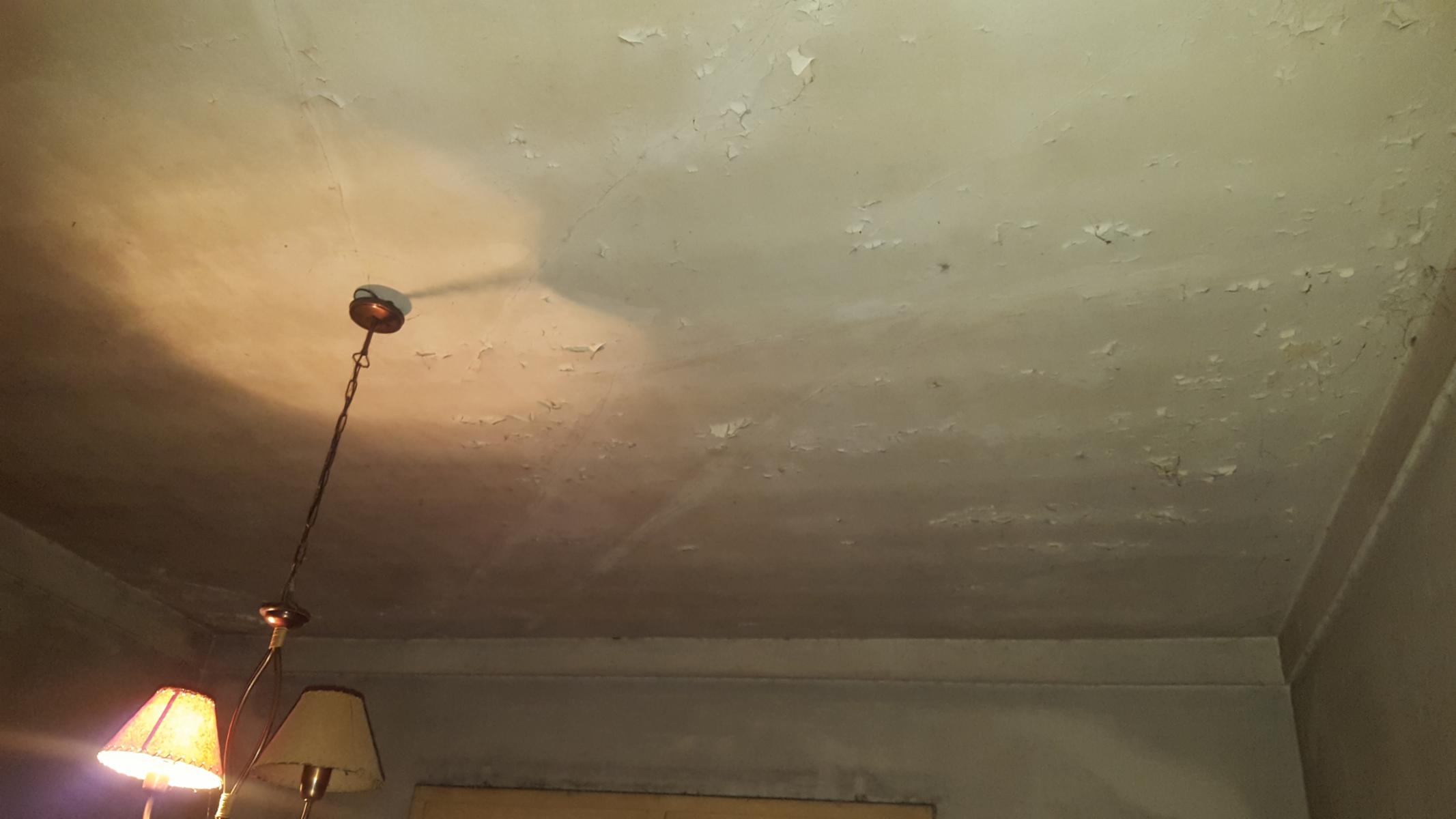 JOSE SANCHEZ 2305 · Almirante Brown — foto 5
