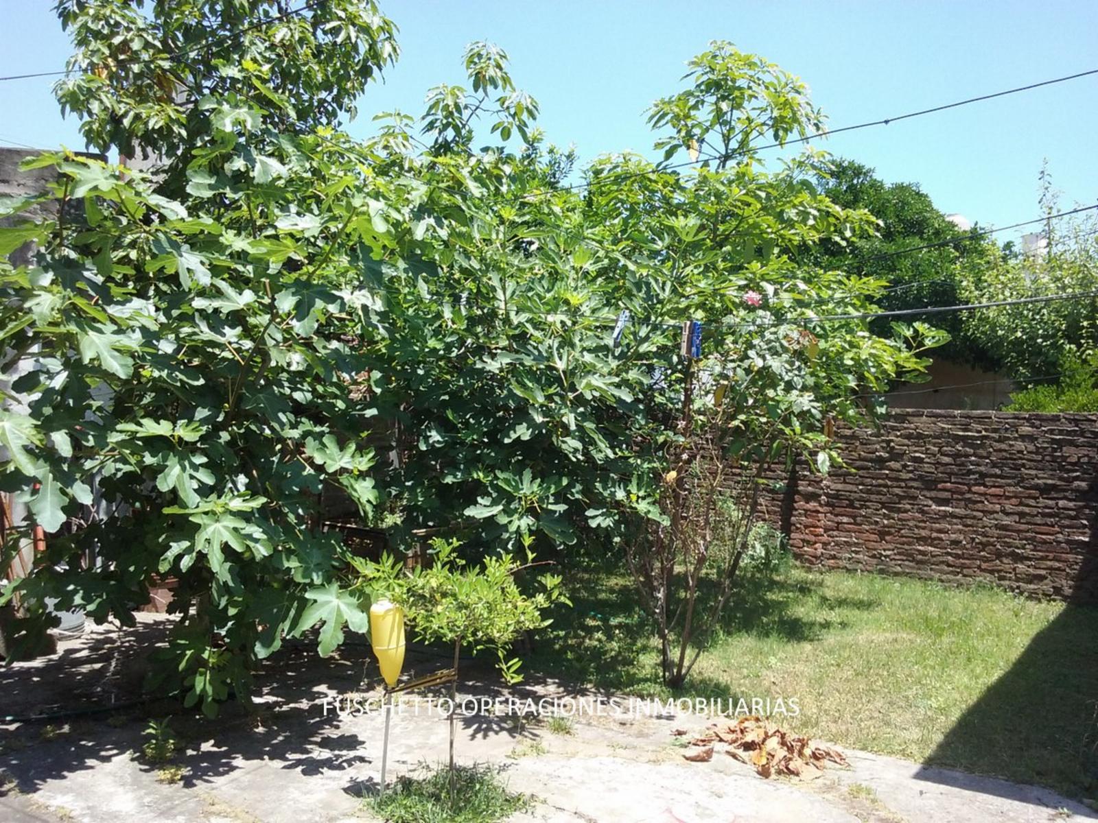 Cucha Cucha 2200 · La Matanza — foto 6