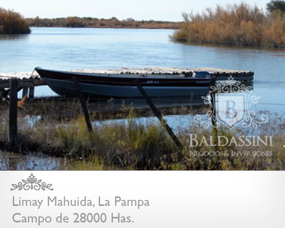 28000 HECTÁREAS EN LIMAY MAHUIDA - LA PAMPA - CAMPO GANADERO ALAMBRADO PARA COTO DE CAZA O GANADERO - JAULA DE 2 HRAS. DE JABALÍES.