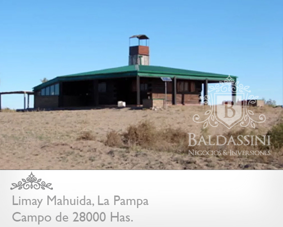 28000 HAS. EN LIMAY MAHUIDA - COTO EDE CAZA/GANADERO · Limay Mahuida — foto 4