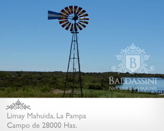 28000 HAS. EN LIMAY MAHUIDA - COTO EDE CAZA/GANADERO · Limay Mahuida — foto 5