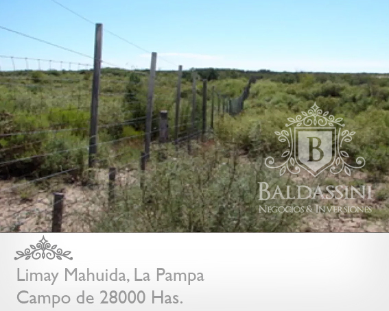 28000 HAS. EN LIMAY MAHUIDA - COTO EDE CAZA/GANADERO · Limay Mahuida — foto 9