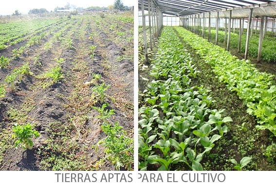 Colon 7975 · Esteban Echeverría — foto 11