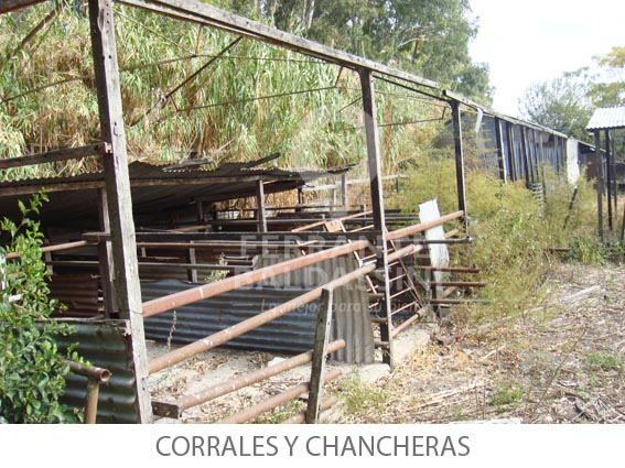 Colon 7975 · Esteban Echeverría — foto 15