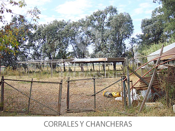 Colon 7975 · Esteban Echeverría — foto 7