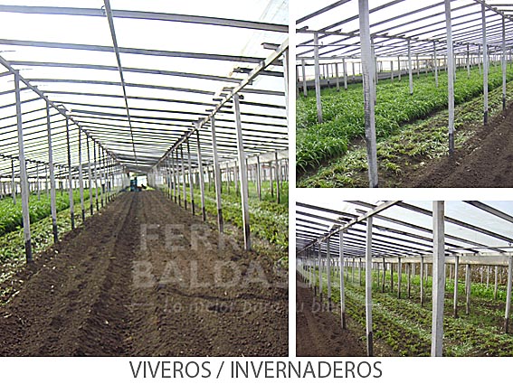 Colon 7975 · Esteban Echeverría — foto 10