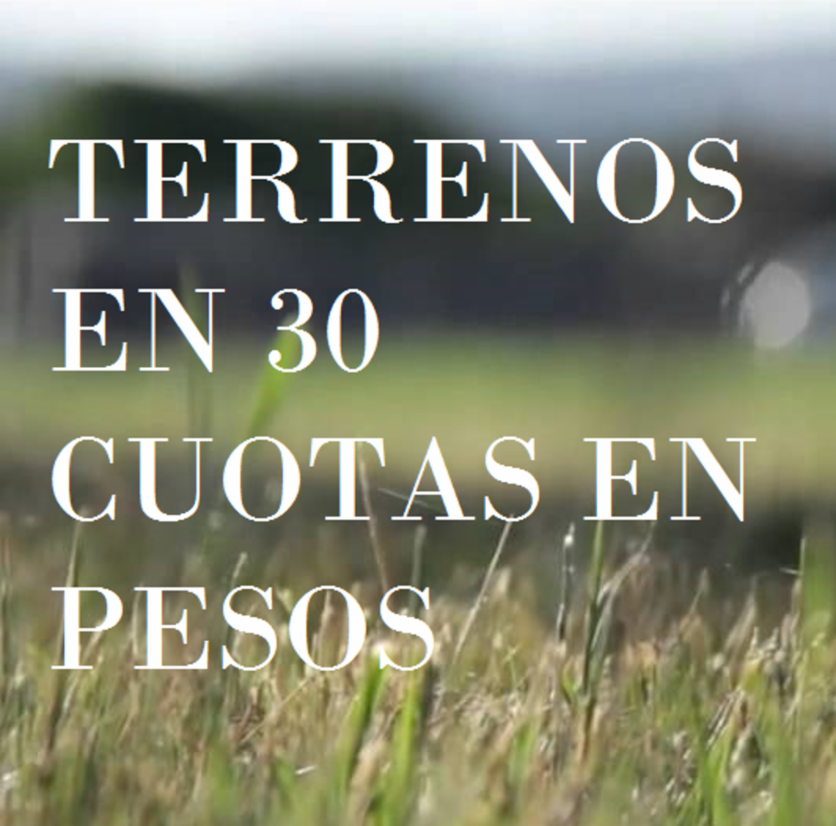 Av. Presidente Peron 1550 · San Vicente — foto 4