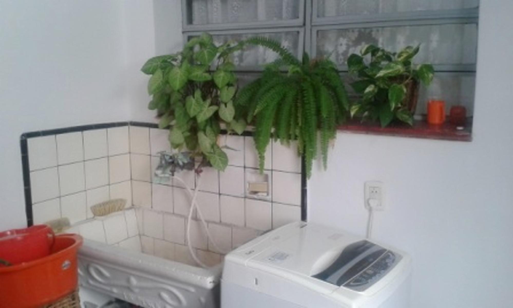 Bartolomé Mitre 700 · La Matanza — foto 3