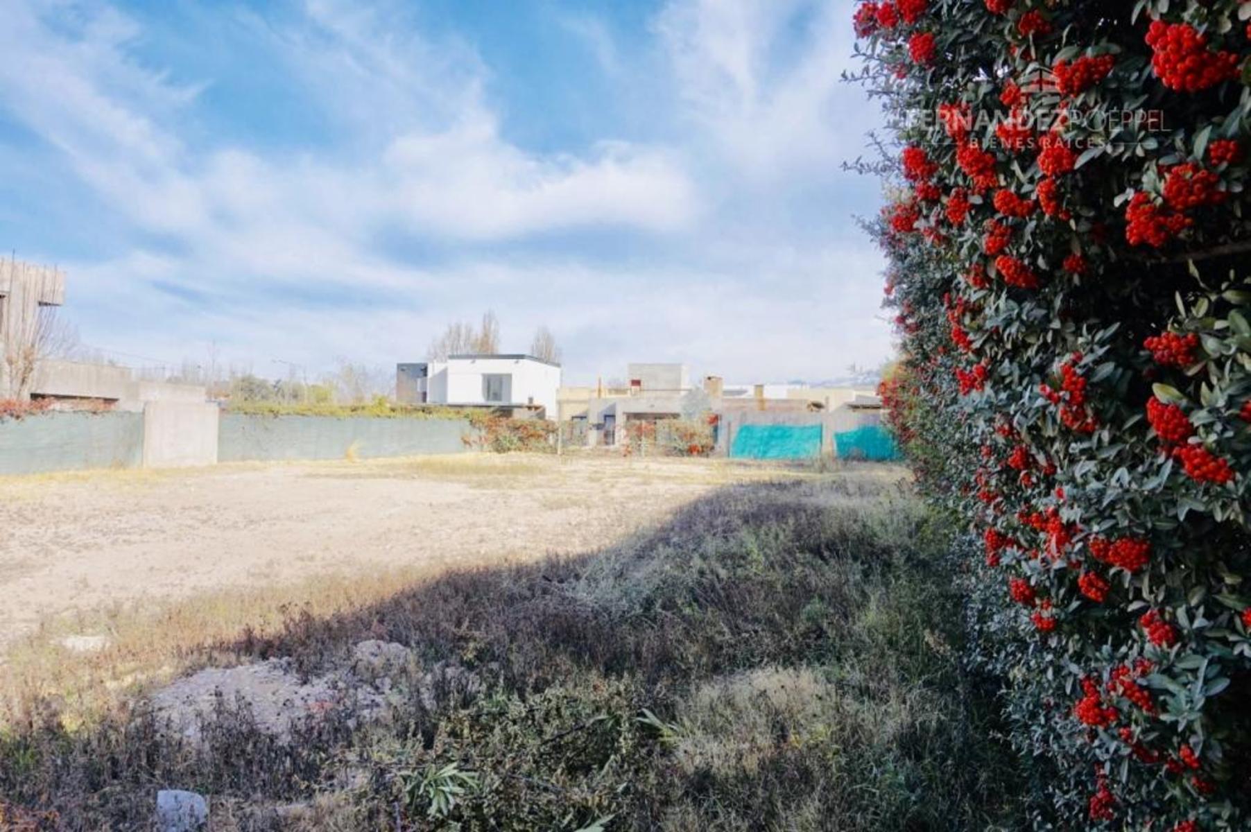 VENTA Lote Barrio Cerrado Pueyrredon Chacras de Coria Lujan de Cuyo