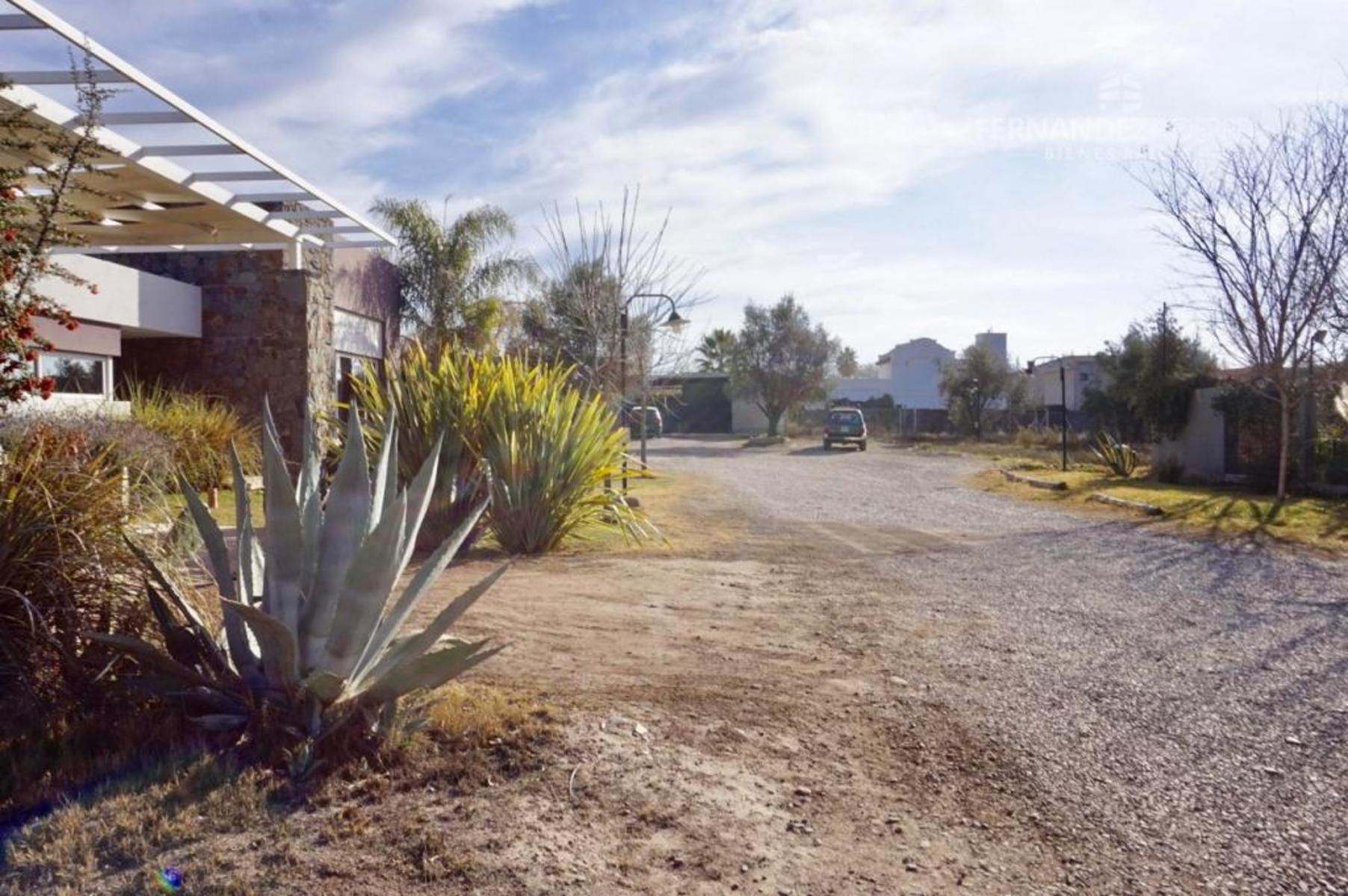 Pueyrredon · Luján de Cuyo — foto 12