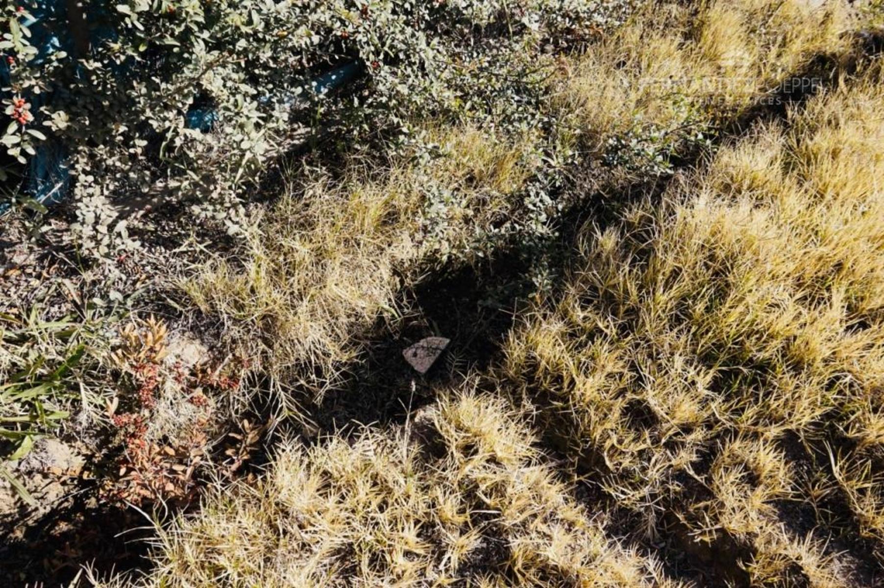 Pueyrredon · Luján de Cuyo — foto 13