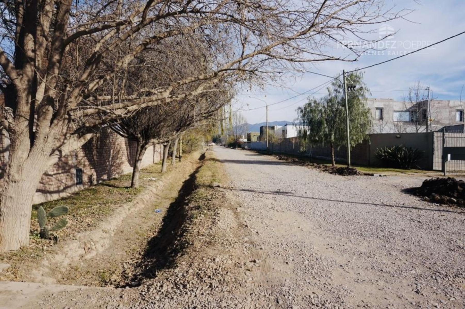 Pueyrredon · Luján de Cuyo — foto 3