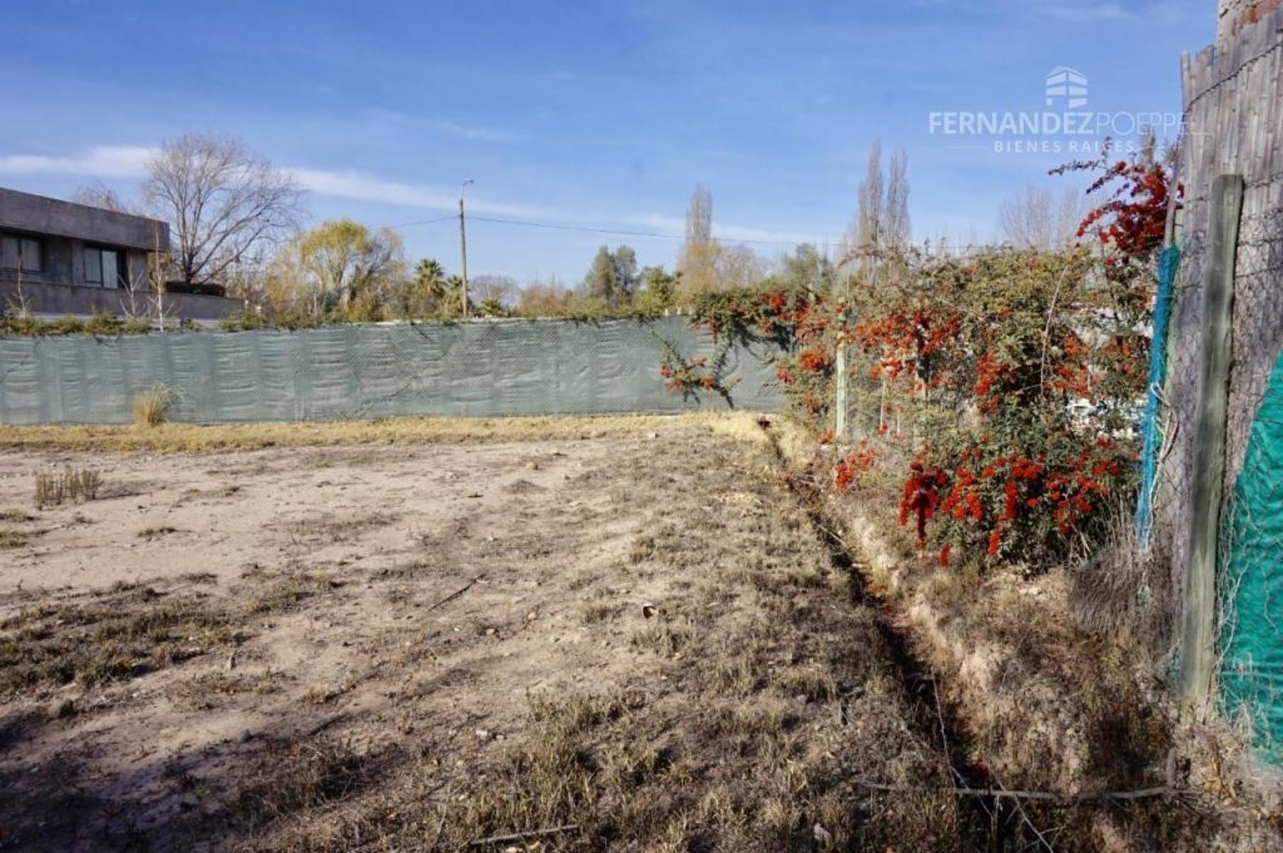 Pueyrredon · Luján de Cuyo — foto 4