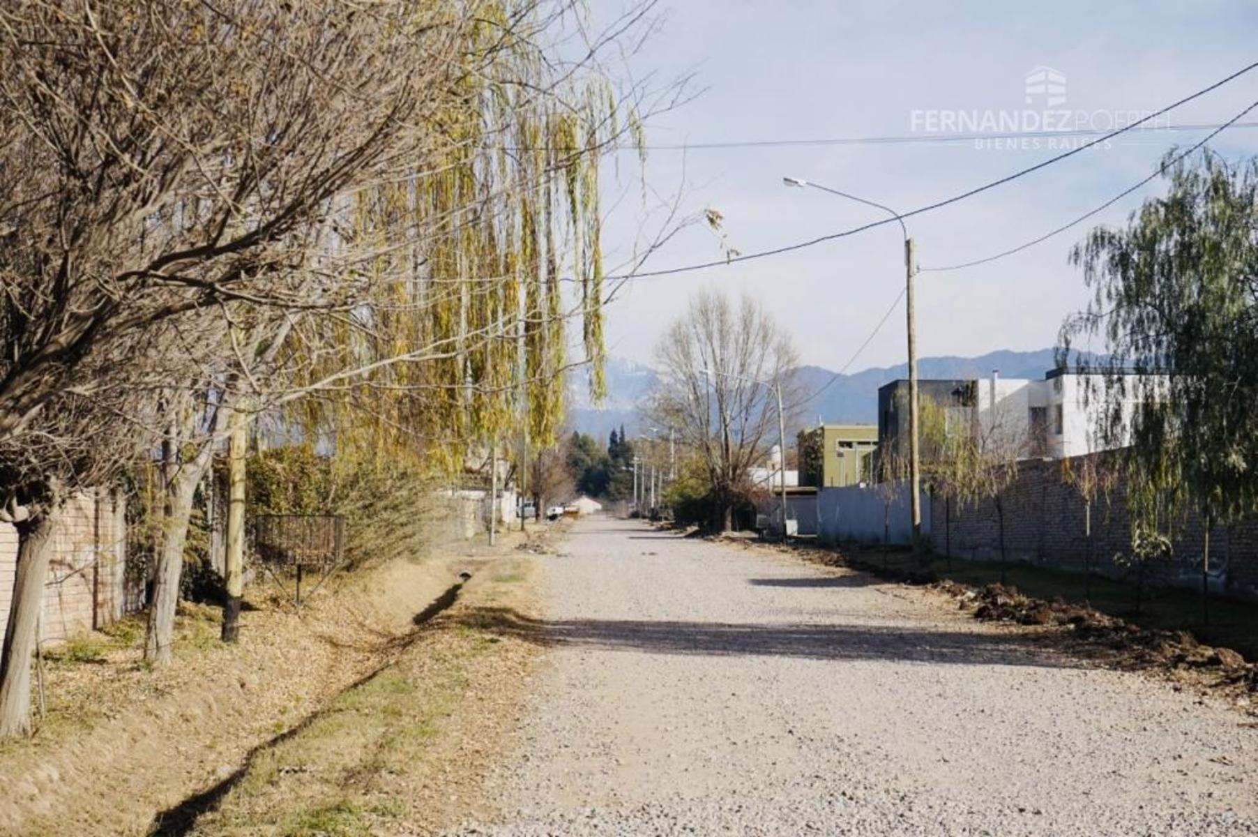 Pueyrredon · Luján de Cuyo — foto 6