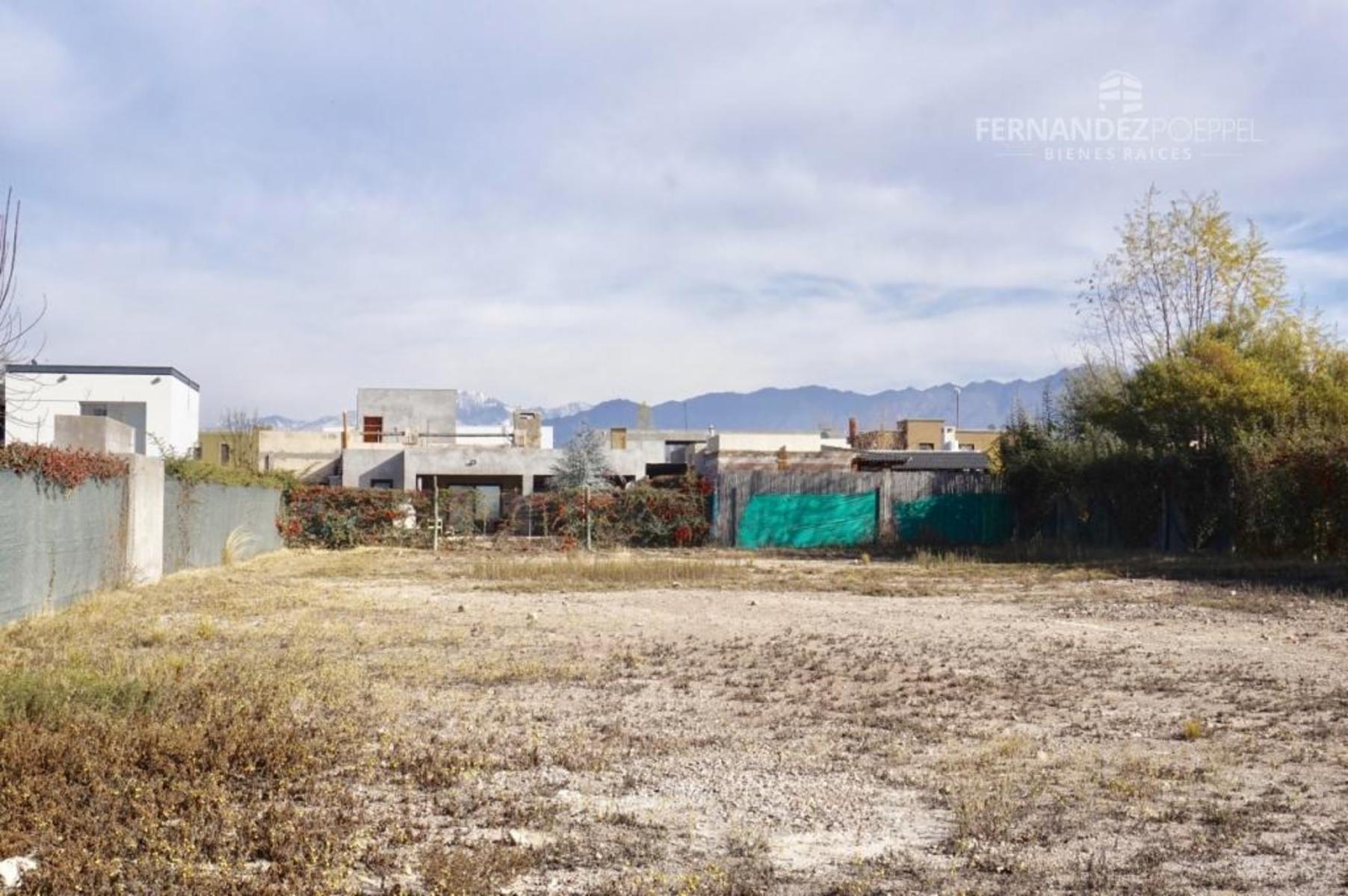 Pueyrredon · Luján de Cuyo — foto 7