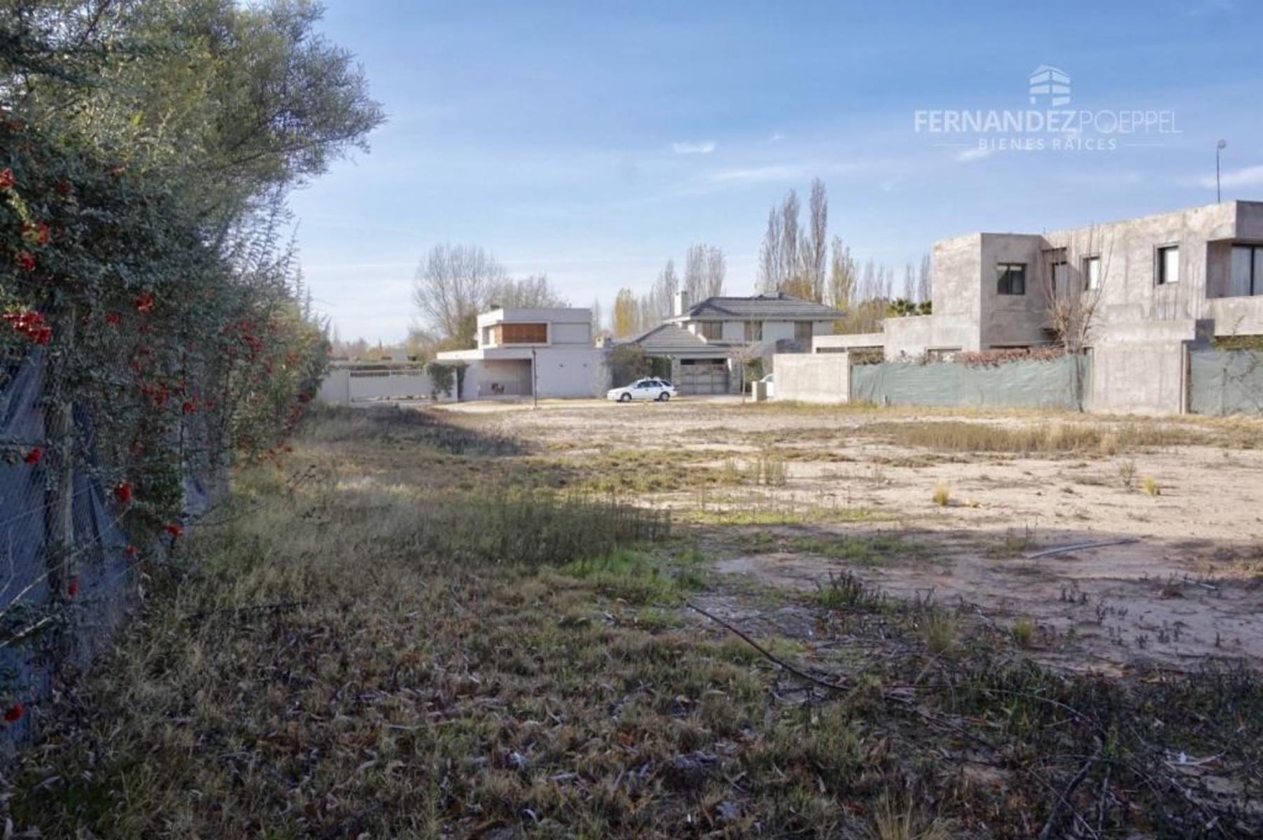 Pueyrredon · Luján de Cuyo — foto 8