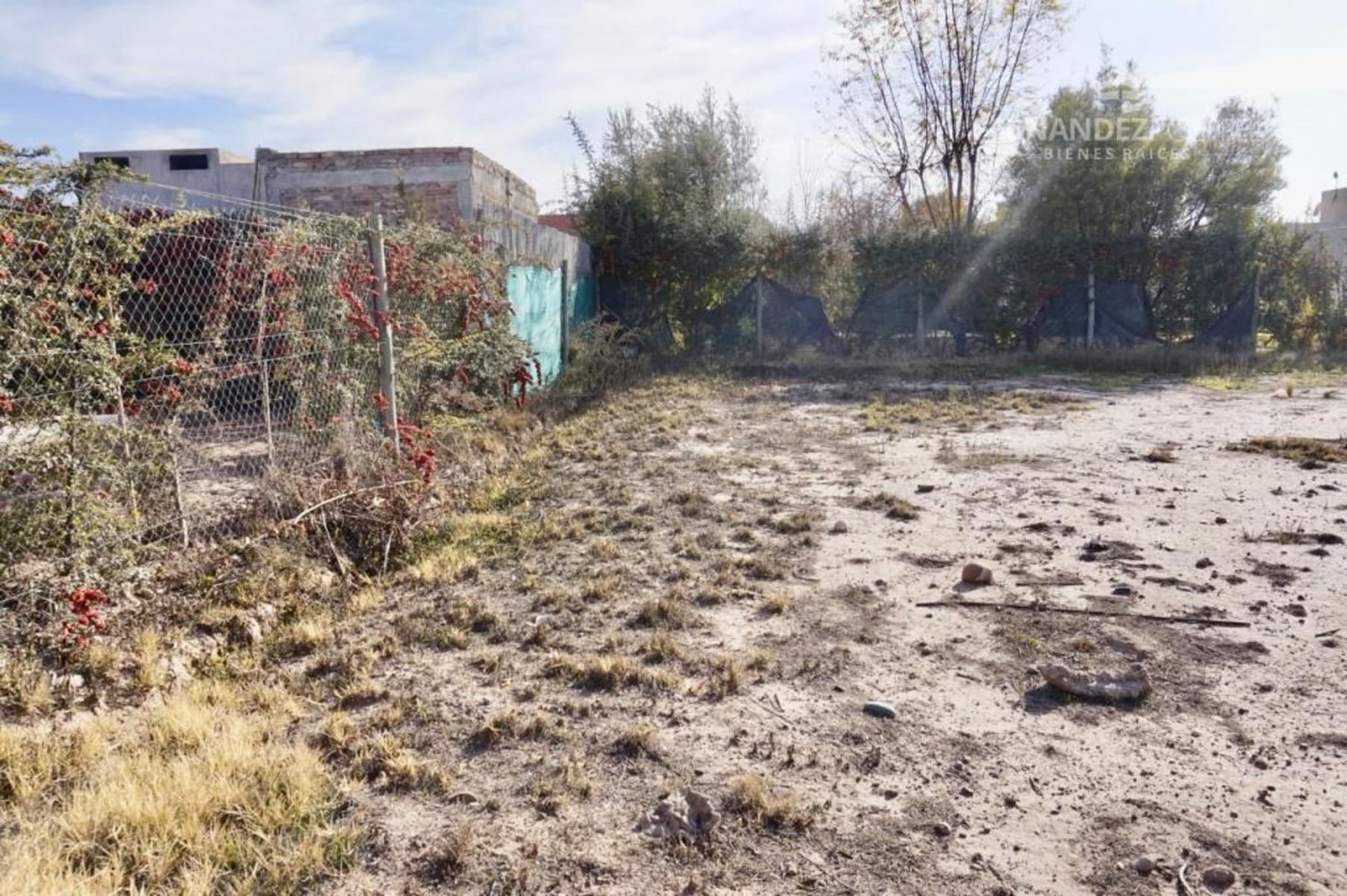 Pueyrredon · Luján de Cuyo — foto 10