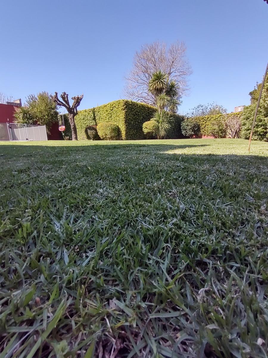 Tatiana Pontiroli 626 · Merlo — foto 12