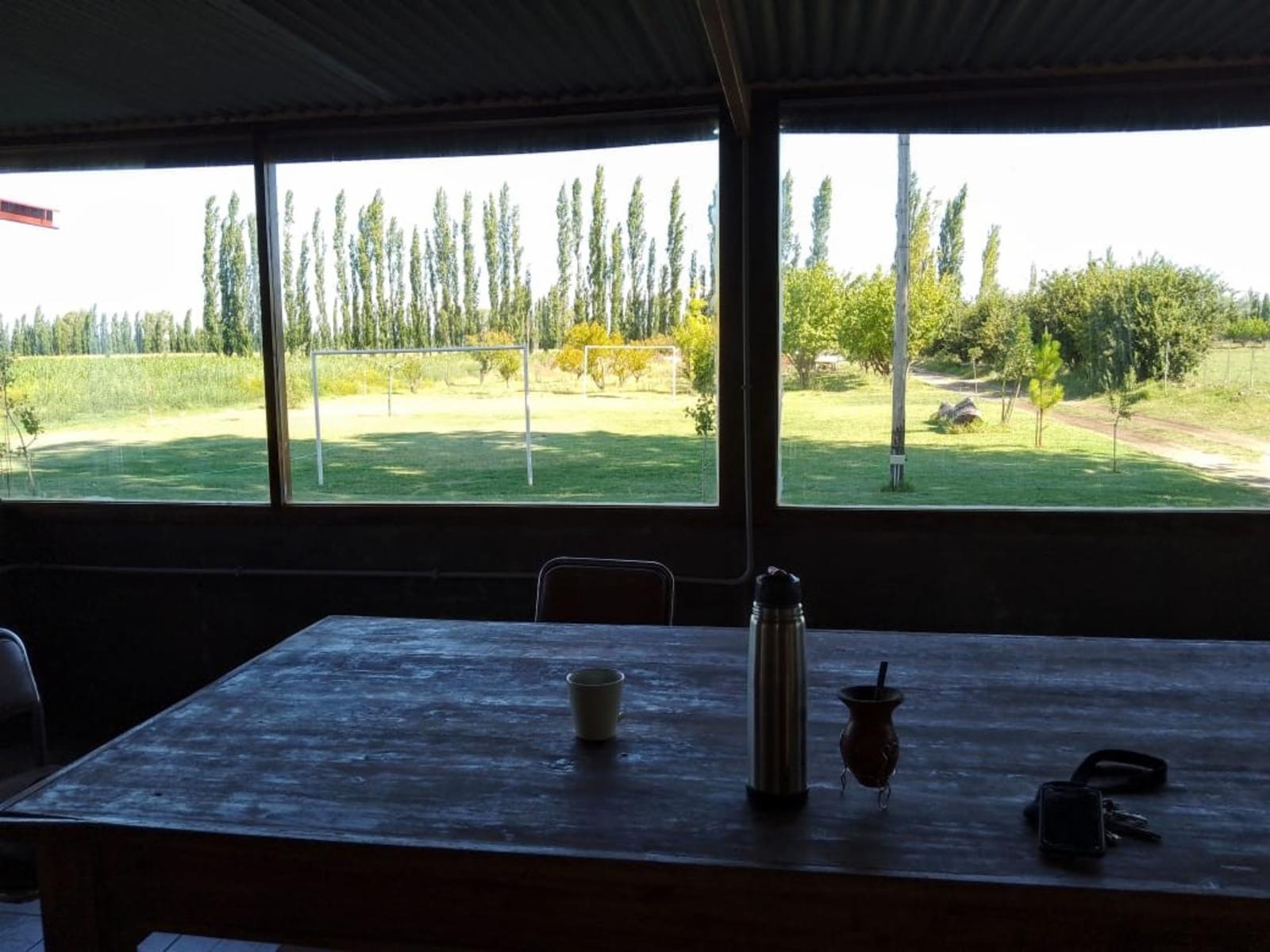 Venta de 26 hectáreas con casa, galpón monoambiente General Alvear Mendoza