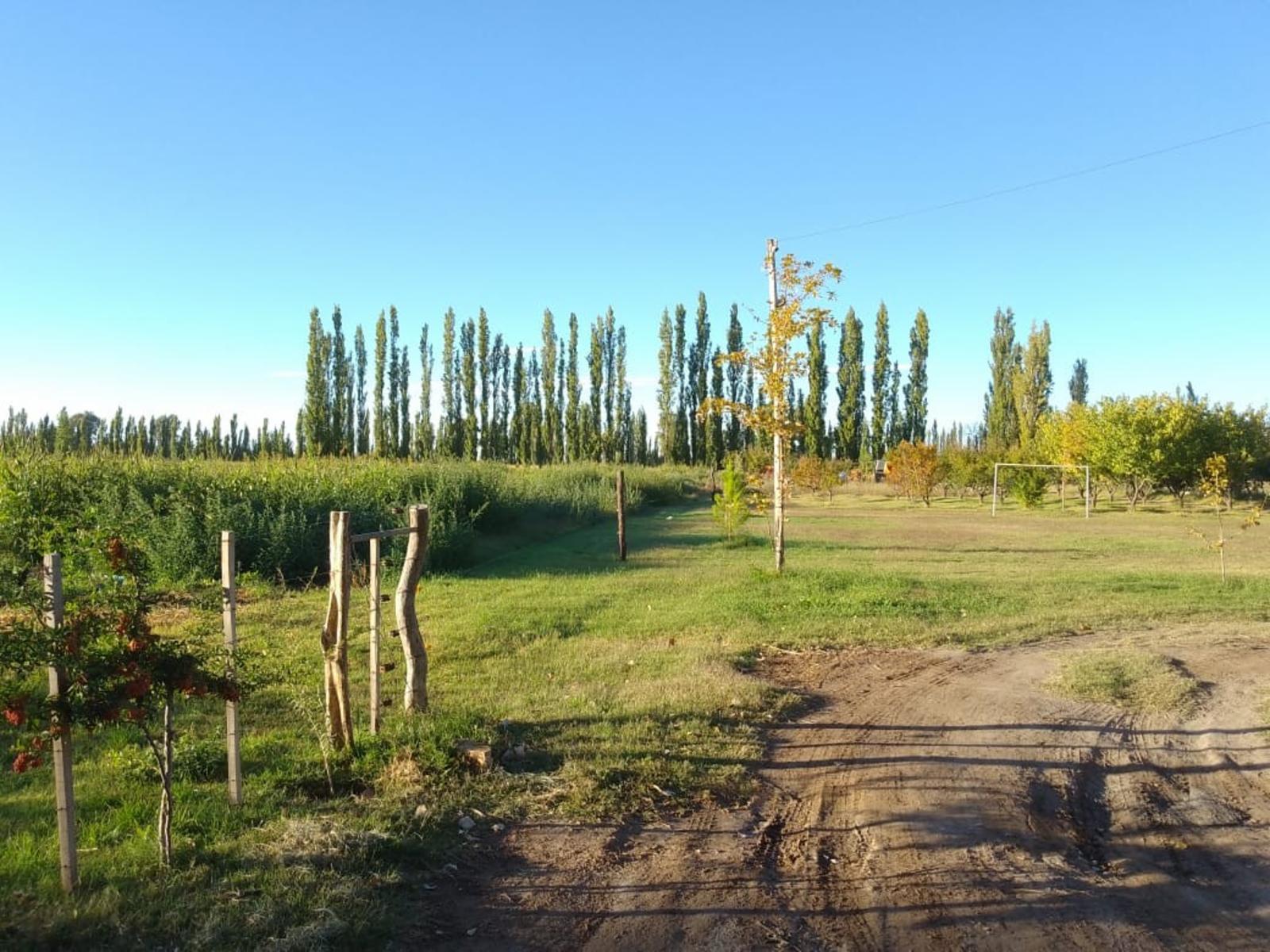 Ruta 202, km 6 · General Alvear — foto 12