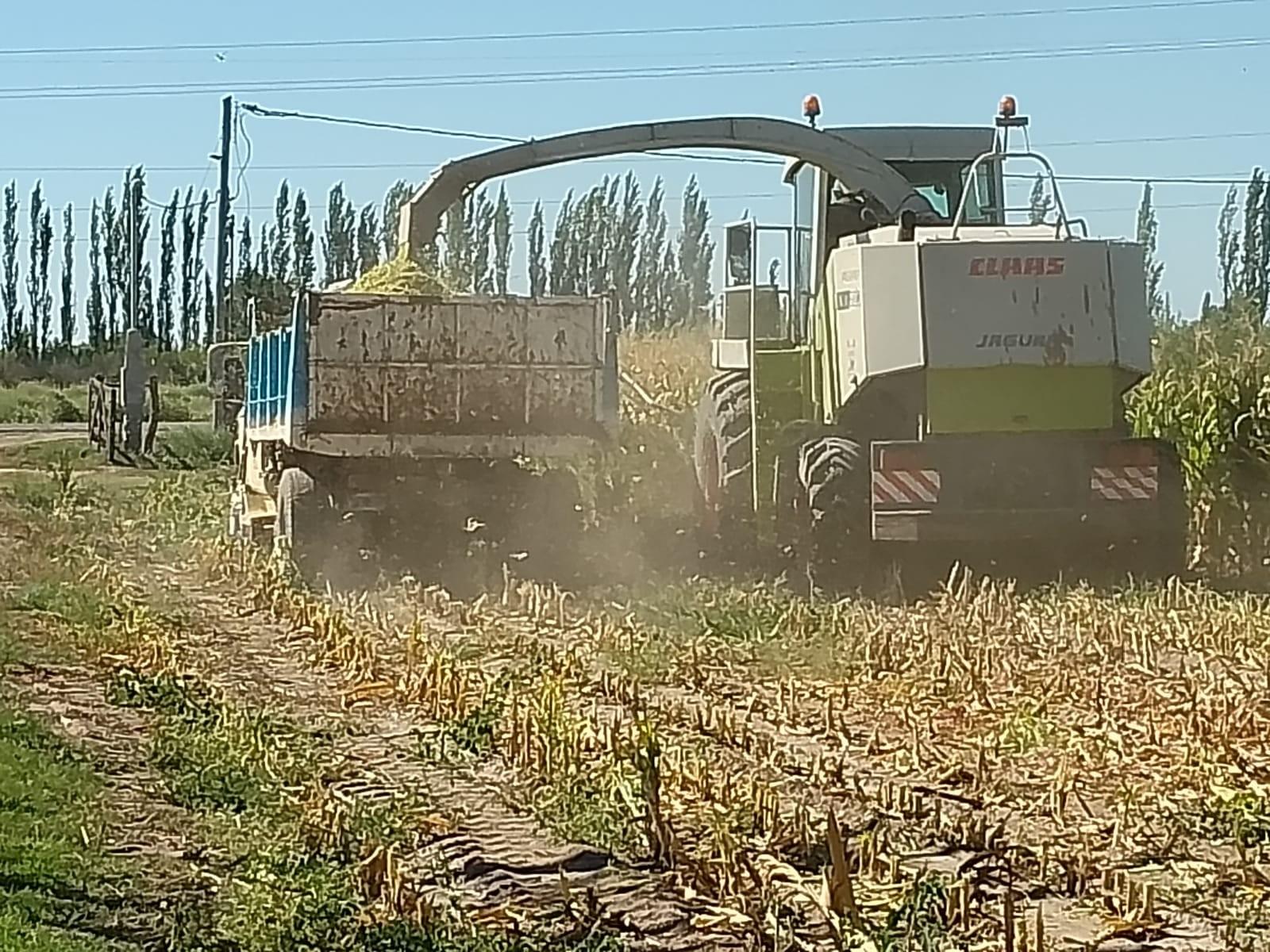 Ruta 202, km 6 · General Alvear — foto 19