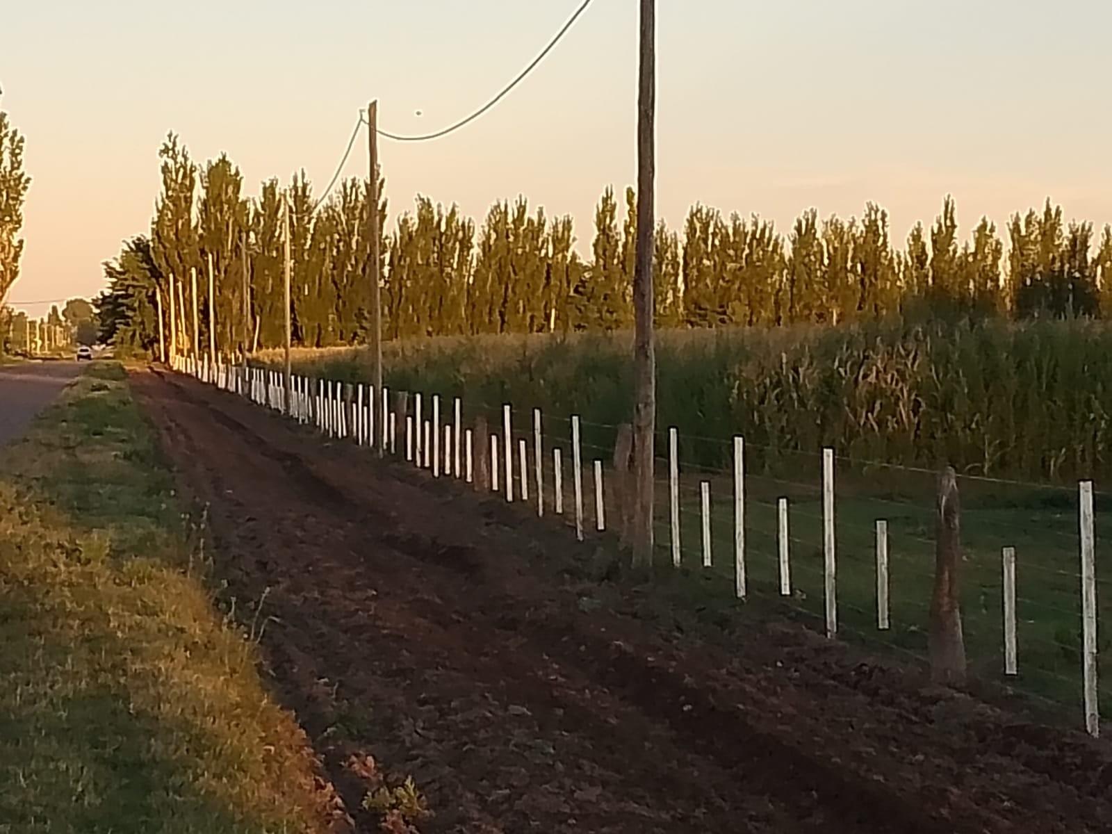 Ruta 202, km 6 · General Alvear — foto 20