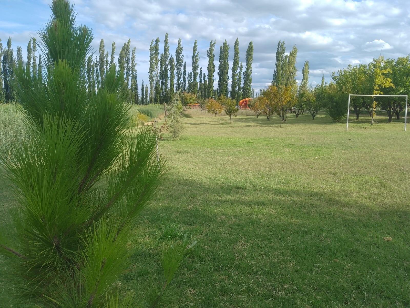 Ruta 202, km 6 · General Alvear — foto 3