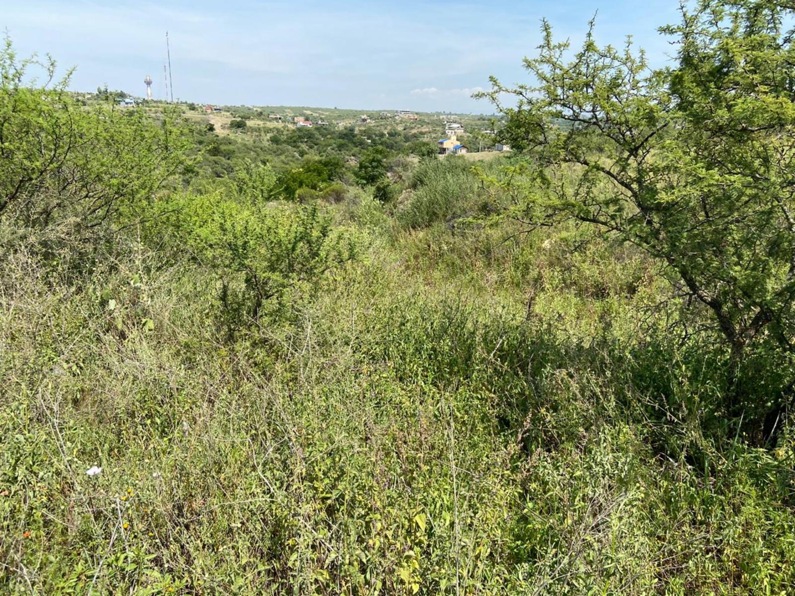 Los Girasoles · Punilla — foto 4