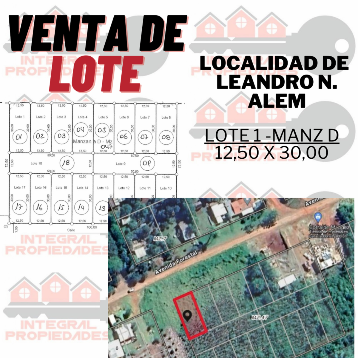 LOTES 1, 2 y 3 - MANZ D - LEANDRO N. ALEM