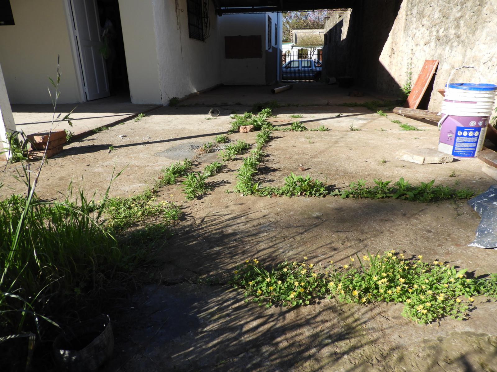 AV. SAN MARTIN 282 · Santo Tomé — foto 8