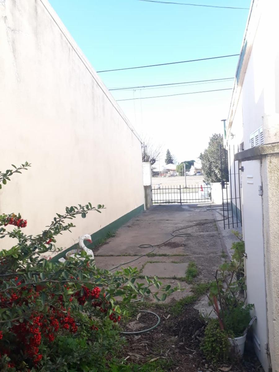 Maestro Piccioli 3781 · Bahia Blanca — foto 3