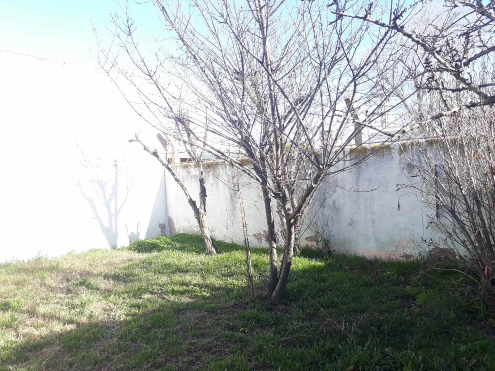 Maestro Piccioli 3781 · Bahia Blanca — foto 4