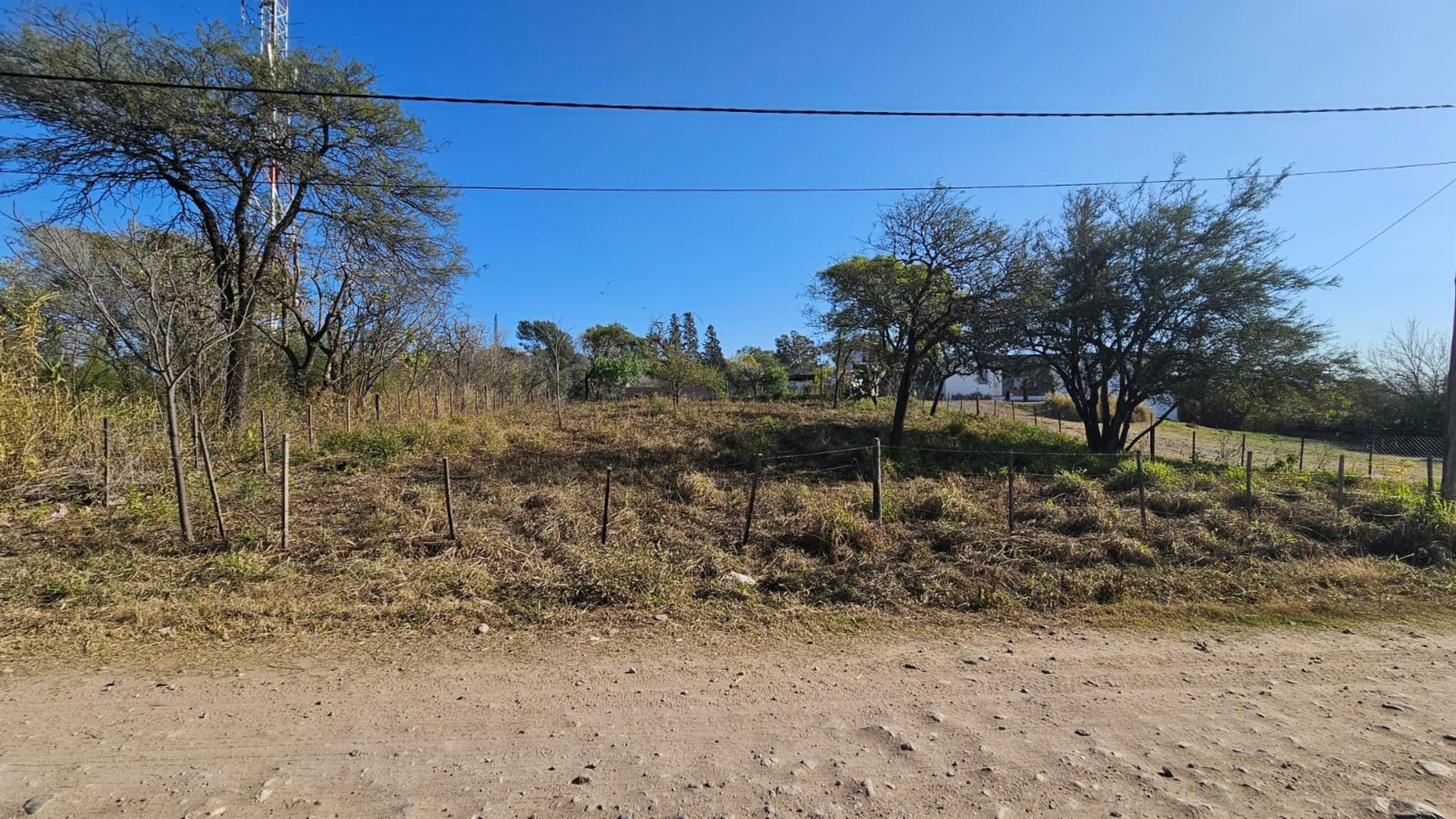 toledo · Colón — foto 6