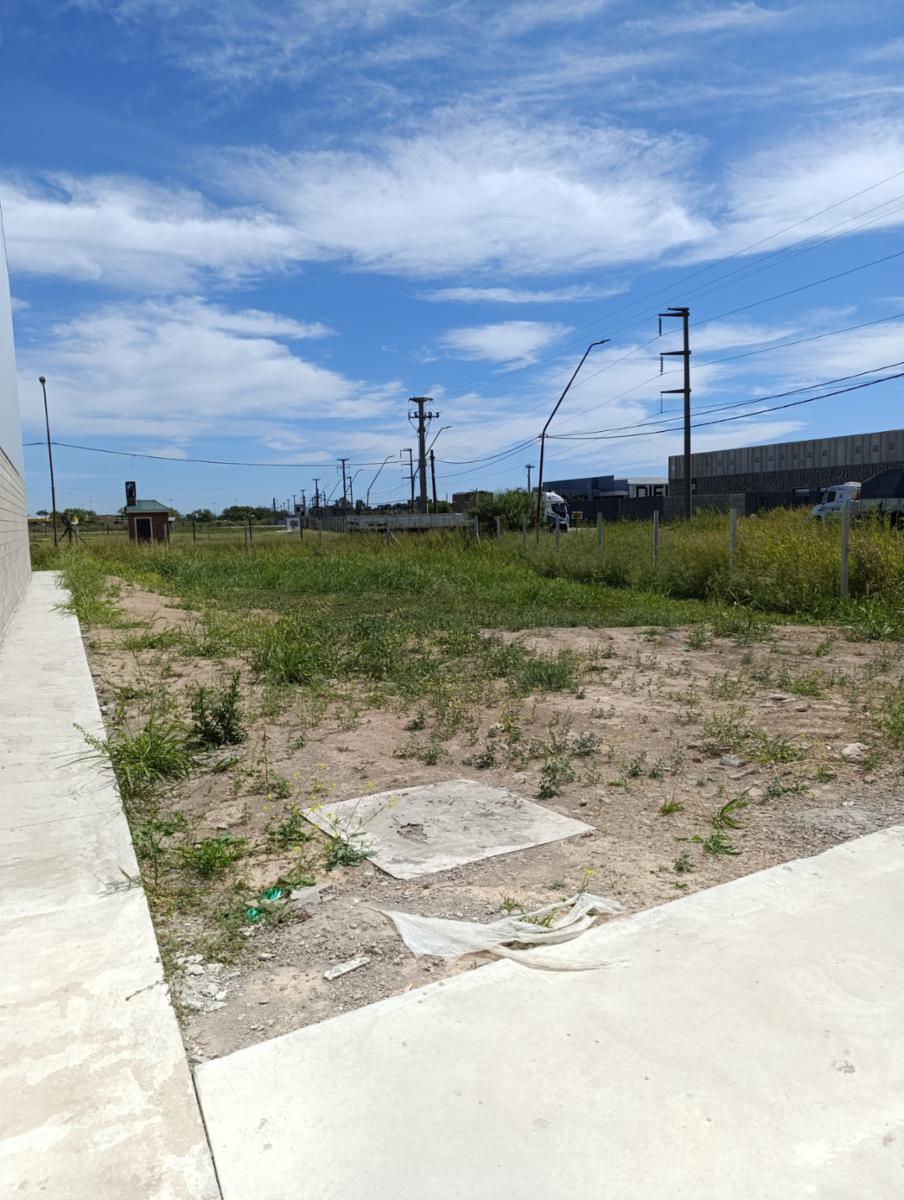 San Martín y Crespo · Rosario — foto 7