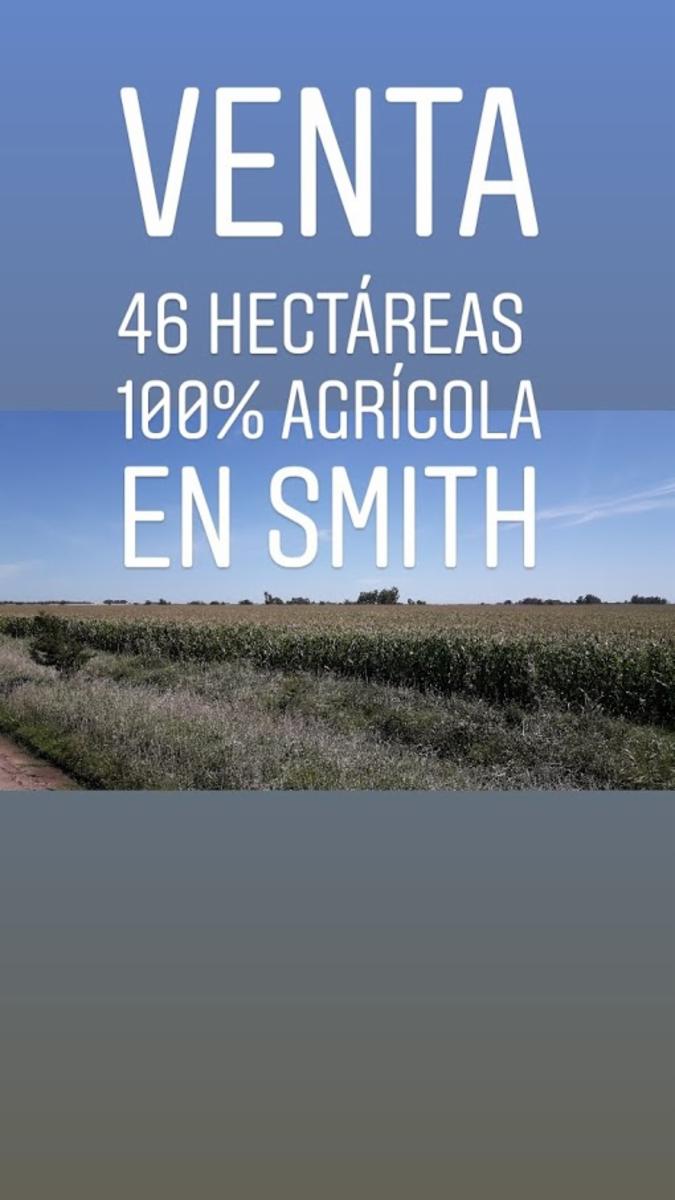 SMITH · Carlos Casares — foto 6