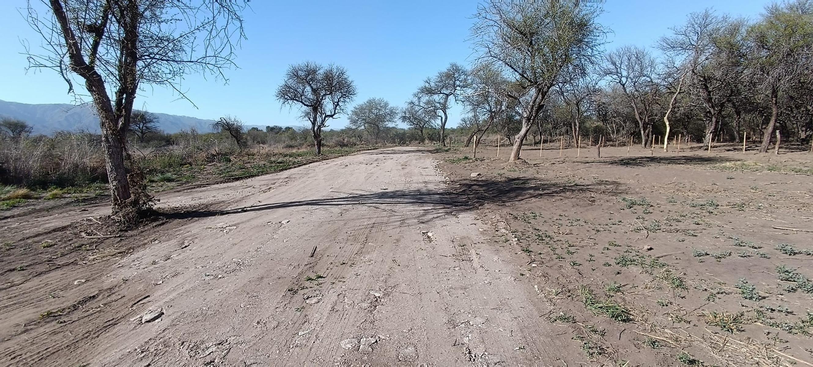 CARPINTERIA · Junín — foto 3