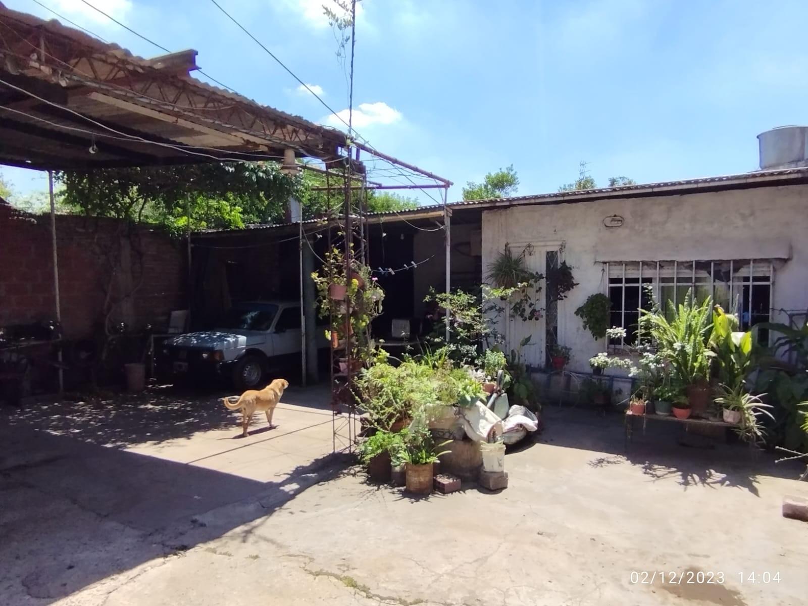 J. Larsen 1831 · La Matanza — foto 4