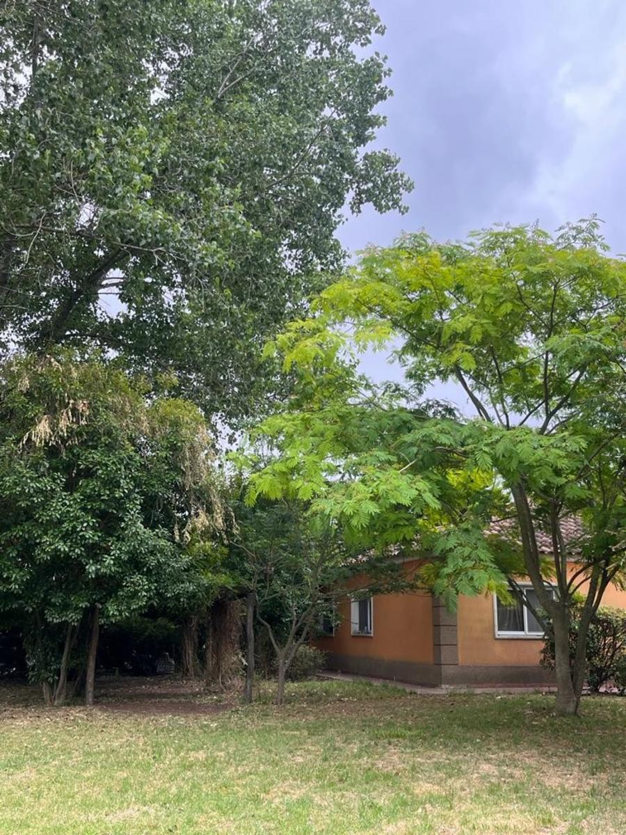 Club de Campo las perdices · La Matanza — foto 4