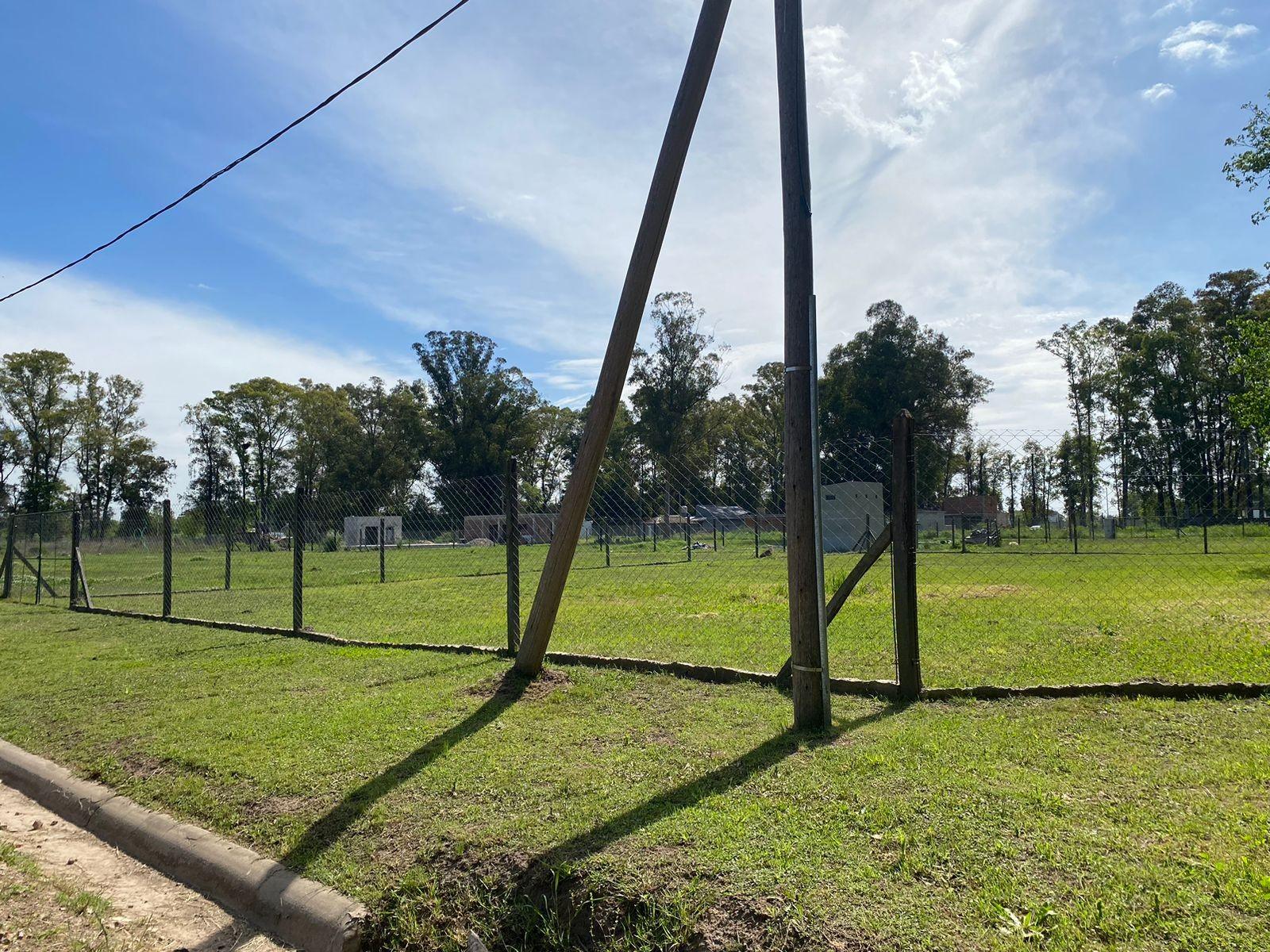 Republiquetas · Merlo — foto 23