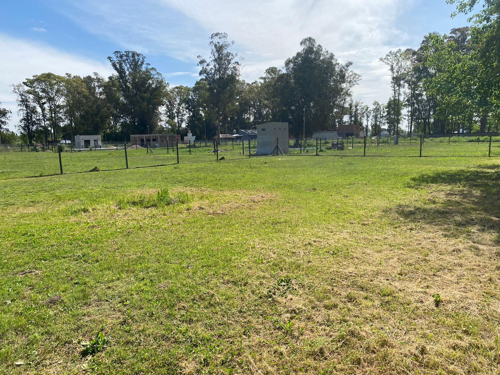 Republiquetas · Merlo — foto 4