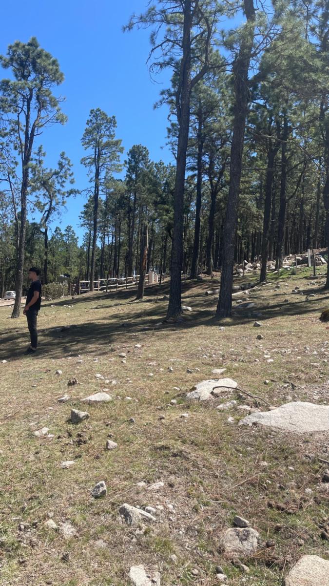 EN VENTA LOTE DE 2080 M2 EN EL PINAR, TAFI DEL VALLE · Tafí del Valle — foto 3