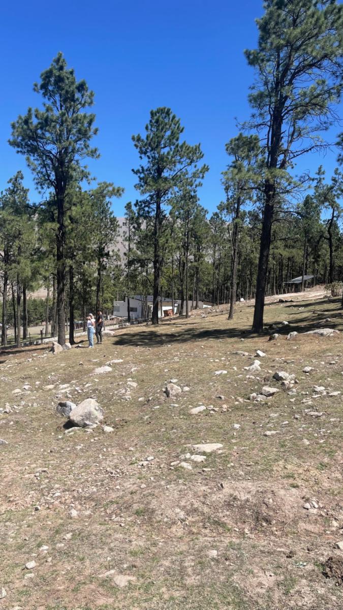EN VENTA LOTE DE 2080 M2 EN EL PINAR, TAFI DEL VALLE · Tafí del Valle — foto 4