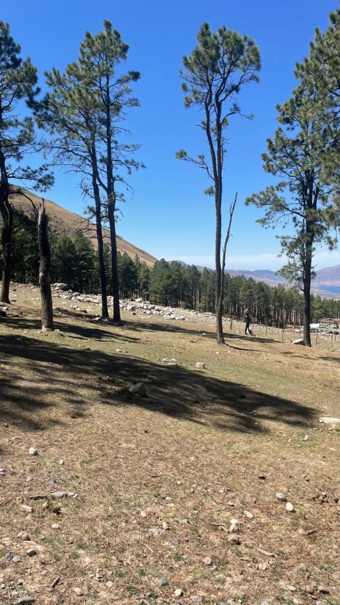 EN VENTA LOTE DE 2080 M2 EN EL PINAR, TAFI DEL VALLE · Tafí del Valle — foto 5