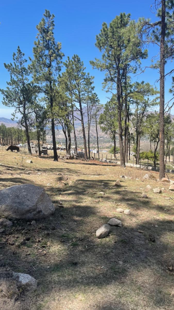 EN VENTA LOTE DE 2080 M2 EN EL PINAR, TAFI DEL VALLE · Tafí del Valle — foto 6