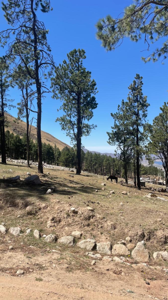 EN VENTA LOTE DE 2080 M2 EN EL PINAR, TAFI DEL VALLE · Tafí del Valle — foto 7